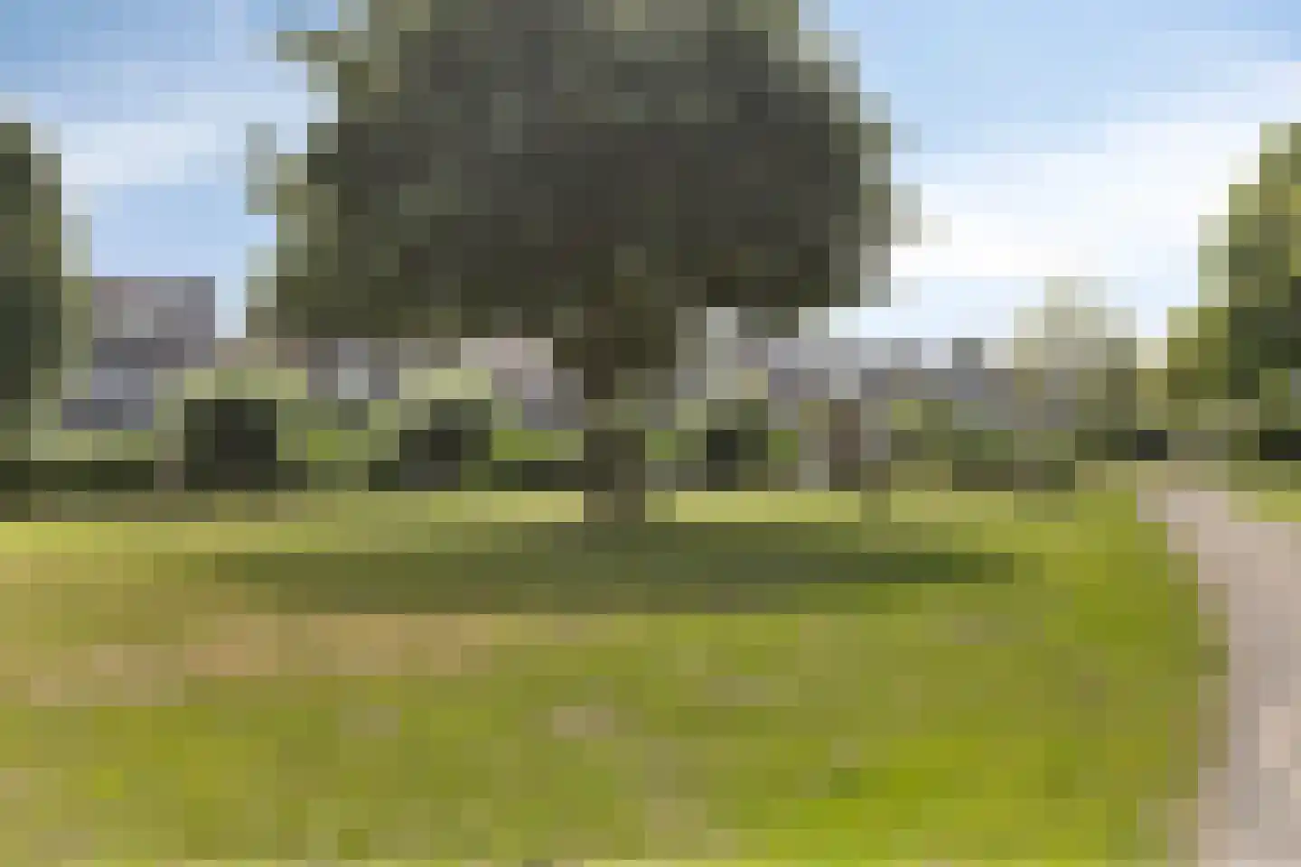 Werengouw 32 Volendam thumbnail 26