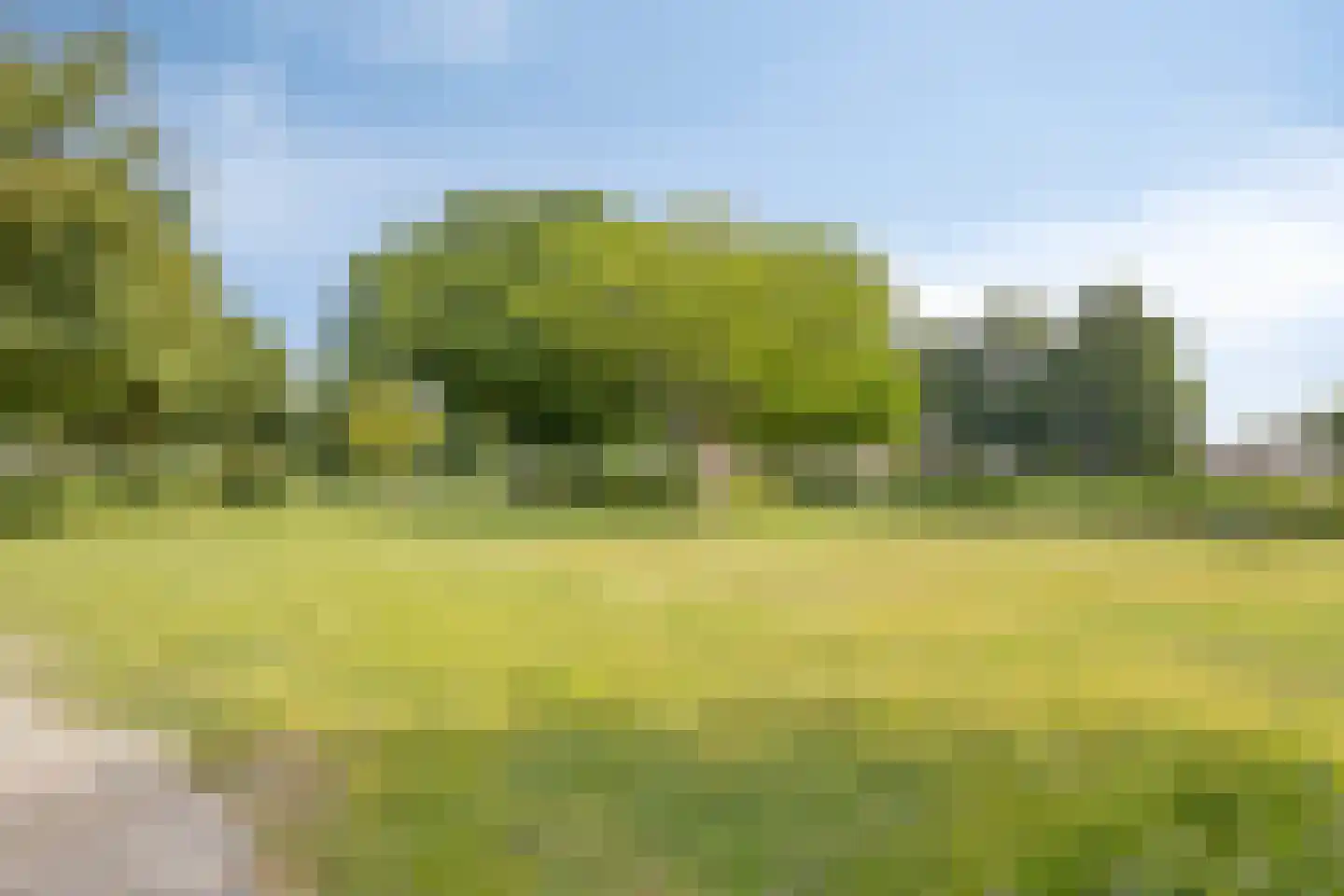 Werengouw 32 Volendam thumbnail 27