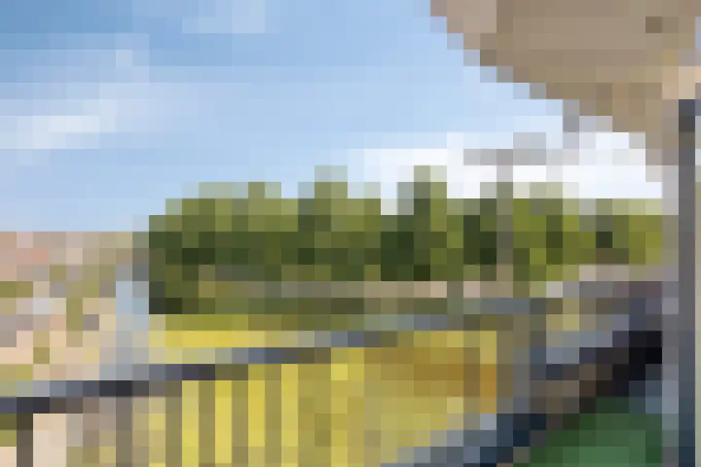 Werengouw 32 Volendam thumbnail 6