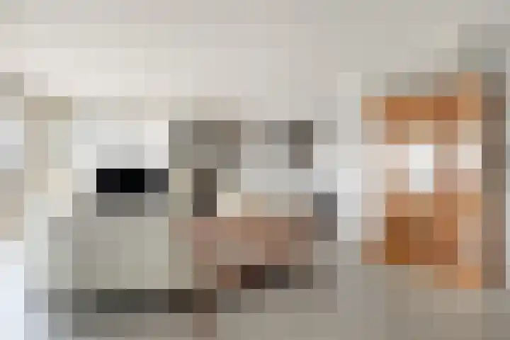 Werengouw 34 Volendam thumbnail 18