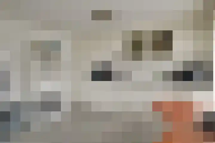 Werengouw 34 Volendam thumbnail 27