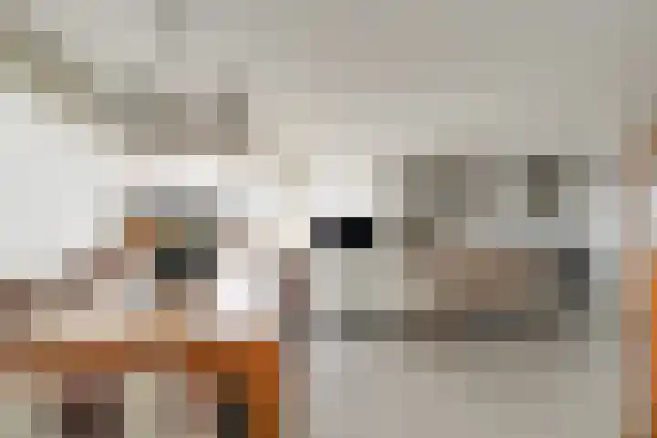 Werengouw 34 Volendam thumbnail 30