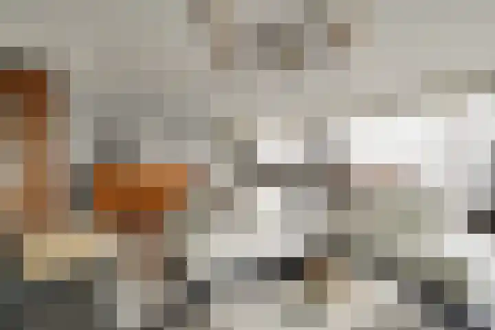 Werengouw 34 Volendam thumbnail 31