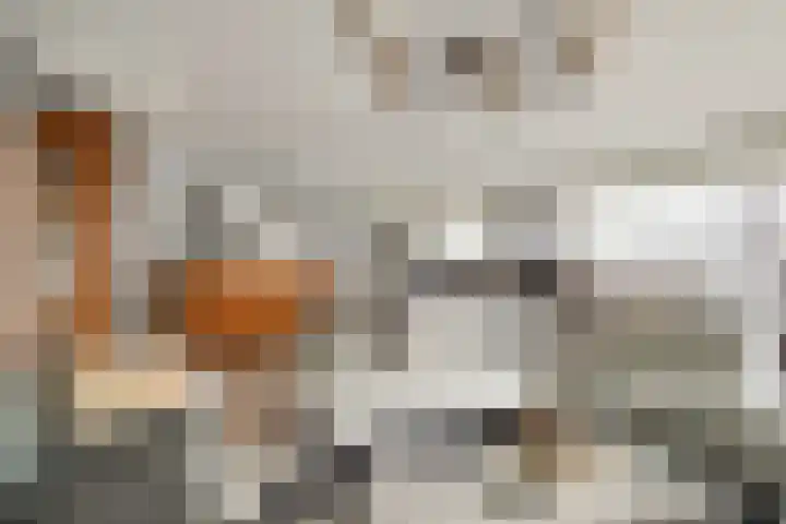 Werengouw 34 Volendam thumbnail 32
