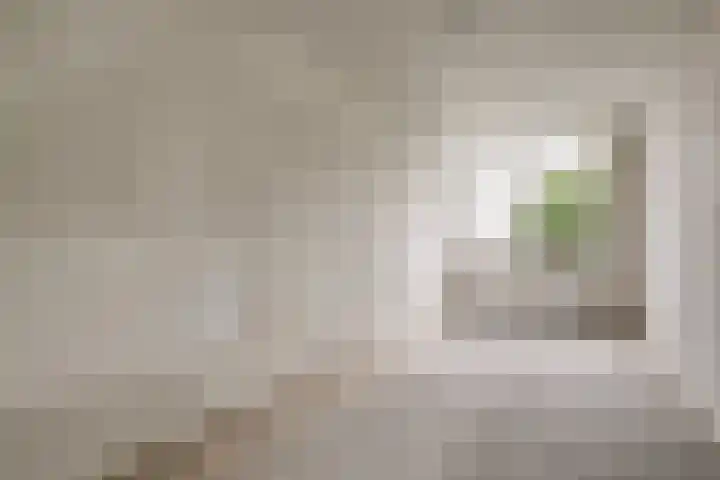 Werengouw 34 Volendam thumbnail 34