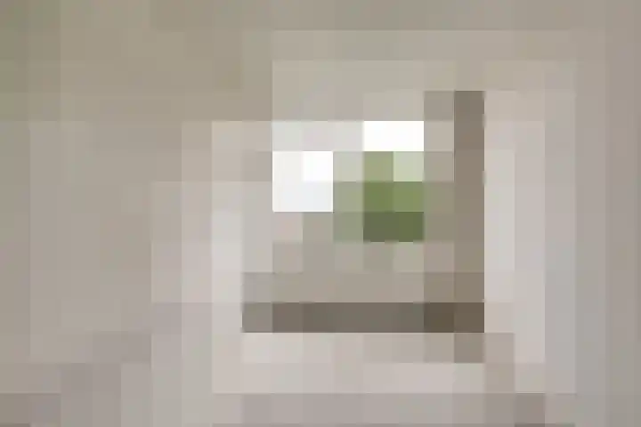 Werengouw 34 Volendam thumbnail 36