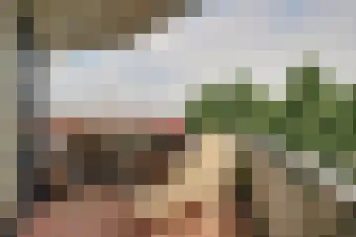 Werengouw 34 Volendam thumbnail 42
