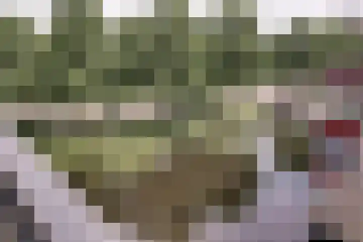 Werengouw 34 Volendam thumbnail 43