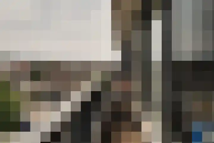 Werengouw 34 Volendam thumbnail 44
