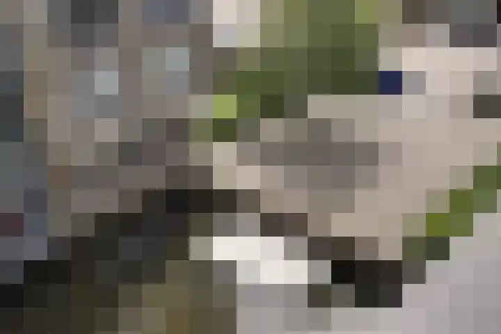 Werengouw 34 Volendam thumbnail 45