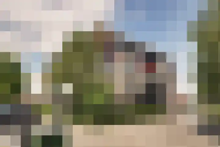 Werengouw 34 Volendam thumbnail 5