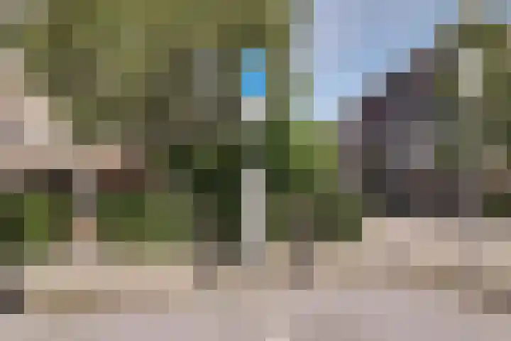 Werengouw 34 Volendam thumbnail 6