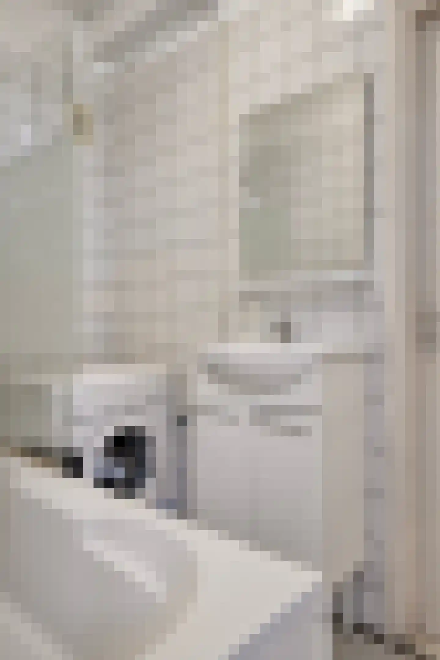 Werengouw 401 Amsterdam thumbnail 18