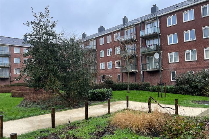 Werengouw 423 en Amsterdam foto