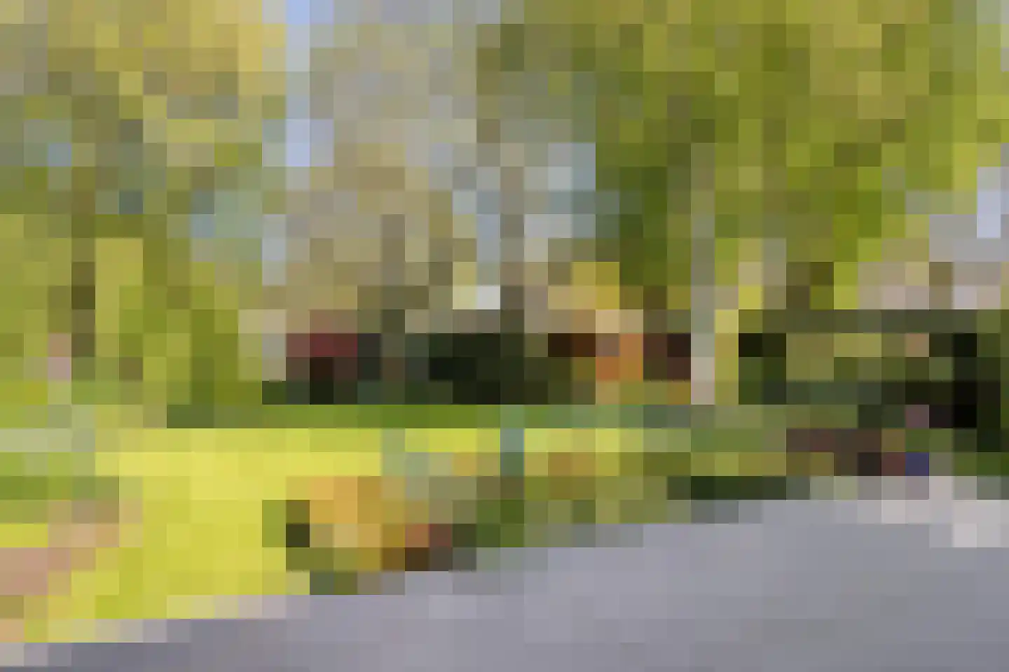 Weresteijn 1 Sliedrecht thumbnail 36