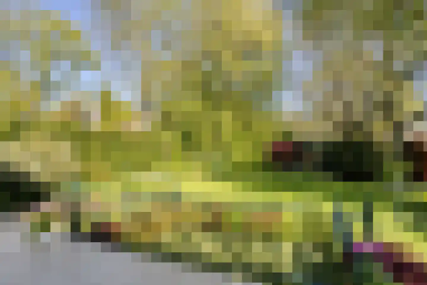 Weresteijn 1 Sliedrecht thumbnail 37