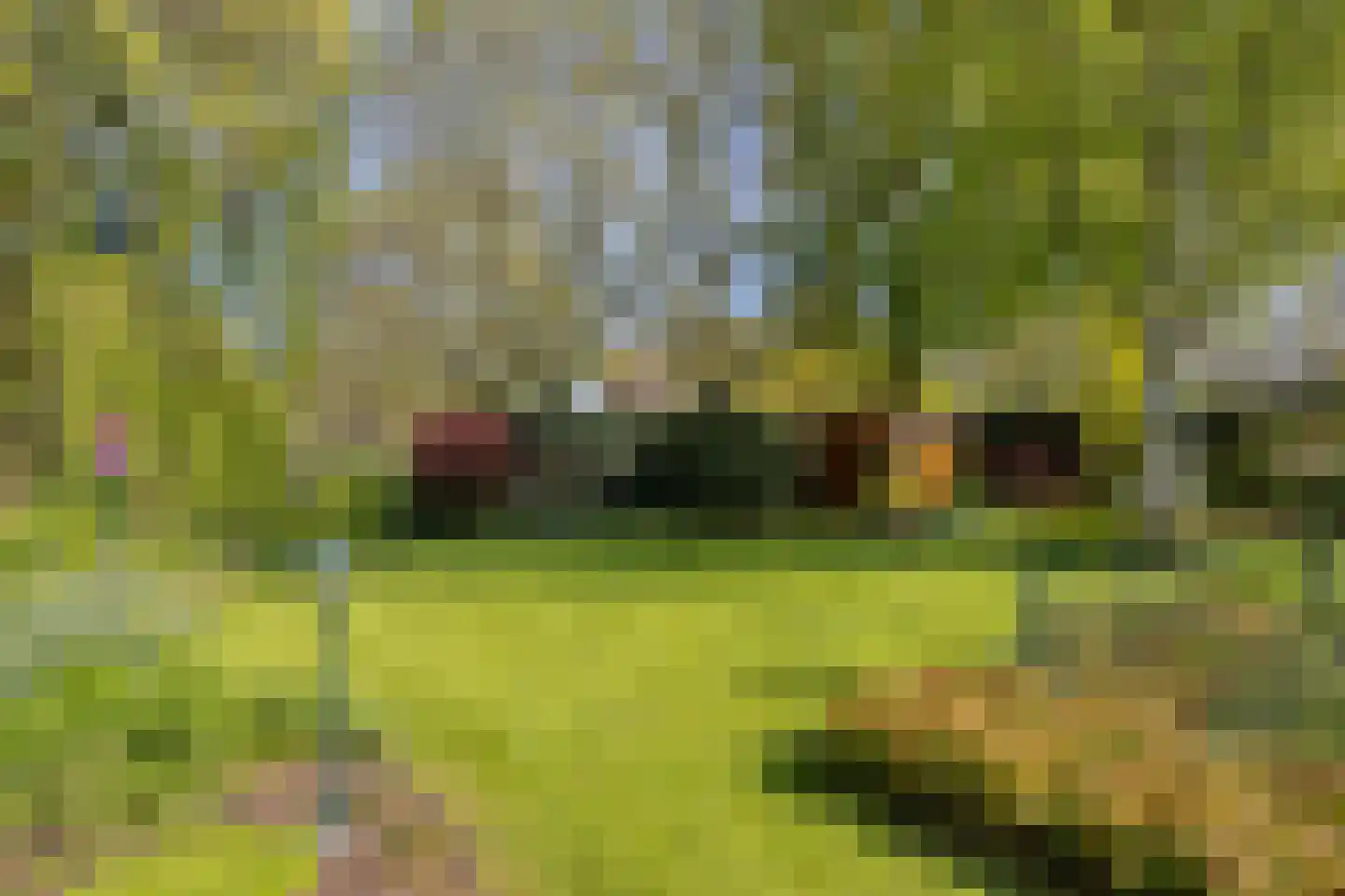 Weresteijn 1 Sliedrecht thumbnail 38