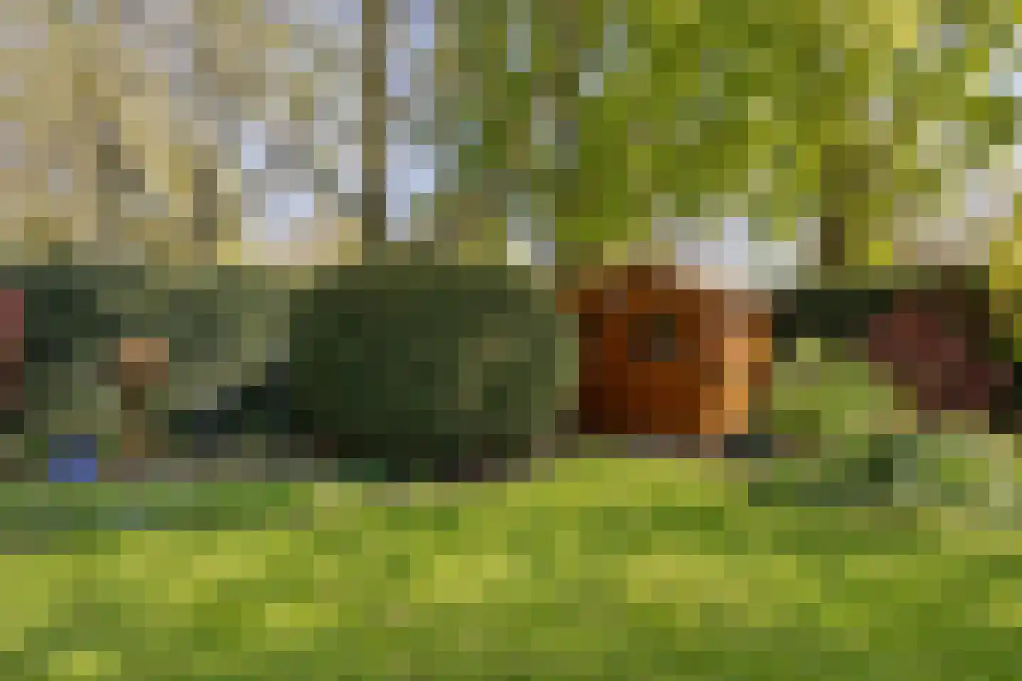 Weresteijn 1 Sliedrecht thumbnail 40