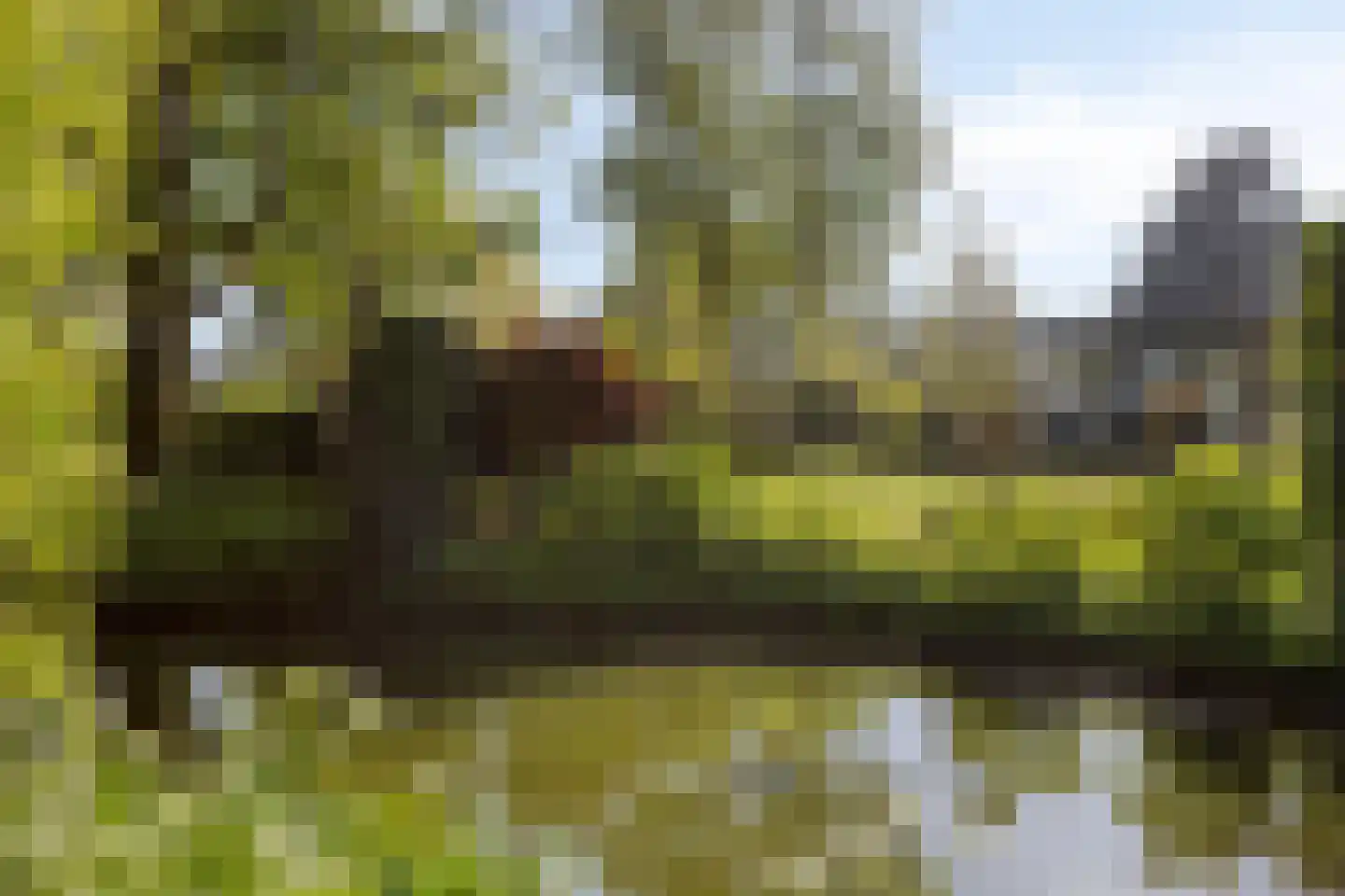 Weresteijn 1 Sliedrecht thumbnail 47