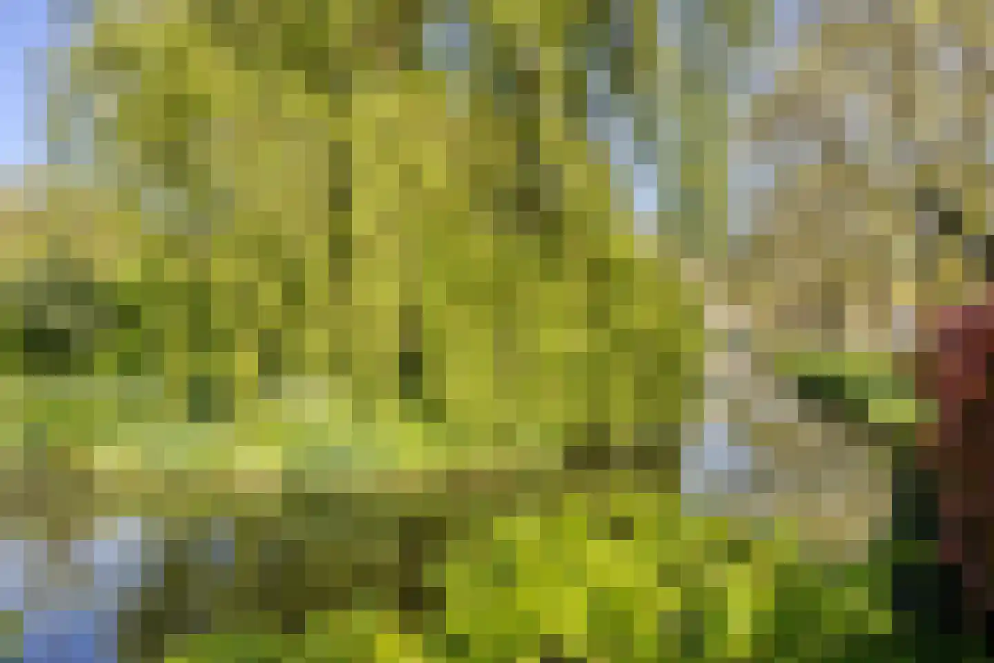 Weresteijn 1 Sliedrecht thumbnail 48