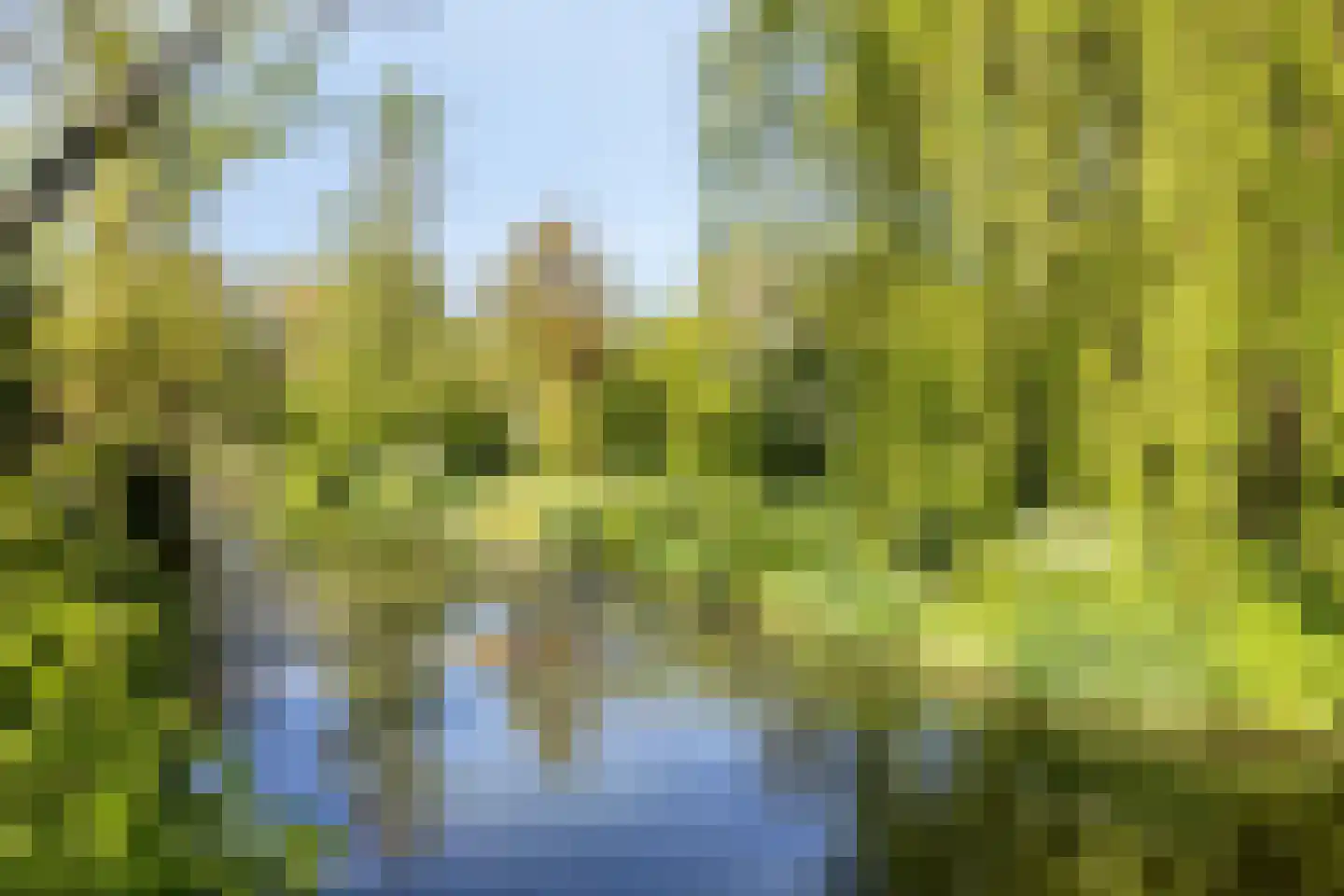Weresteijn 1 Sliedrecht thumbnail 49