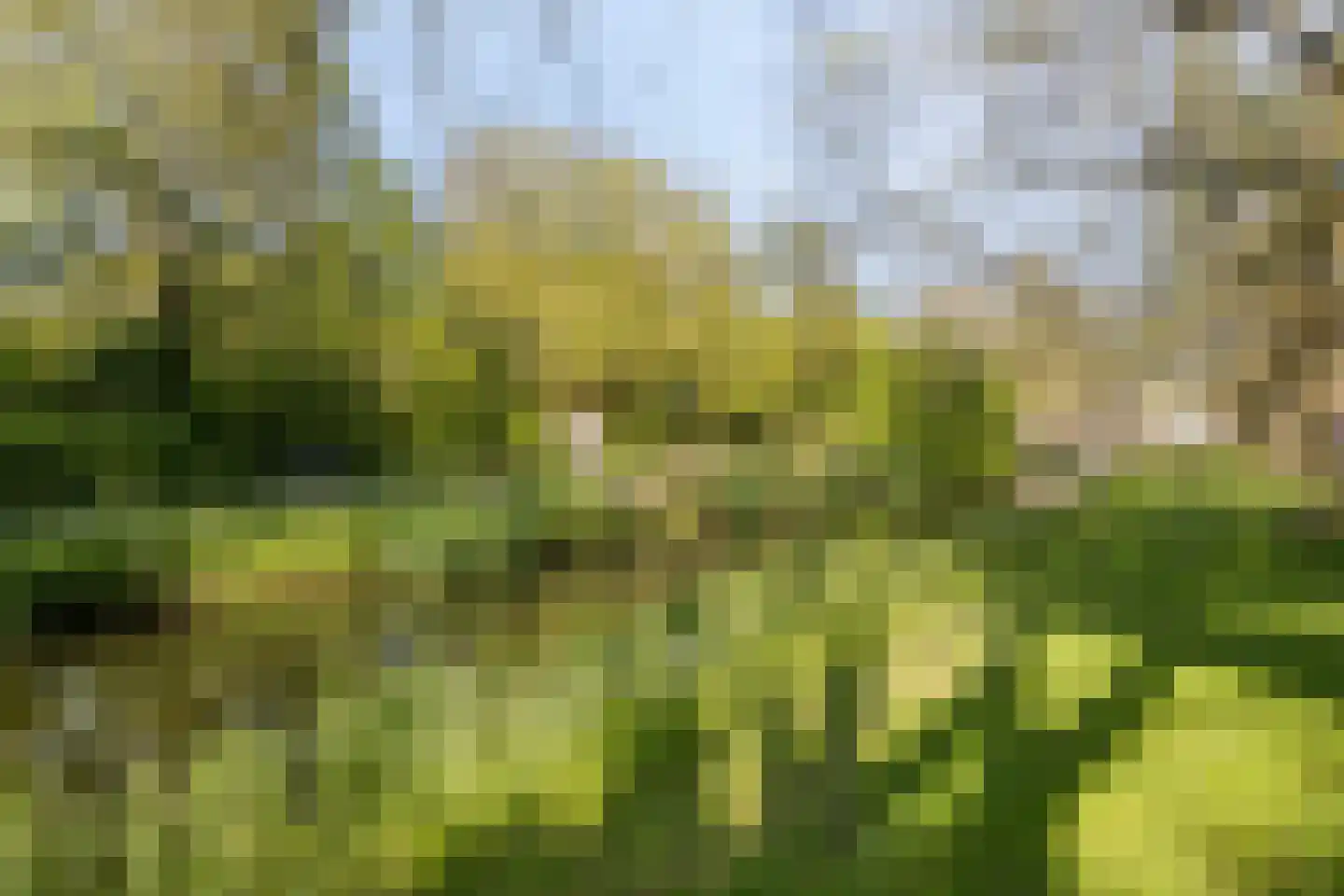 Weresteijn 1 Sliedrecht thumbnail 50