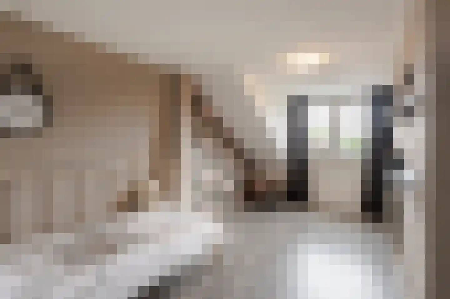 Weresteijn 102 Sliedrecht thumbnail 29