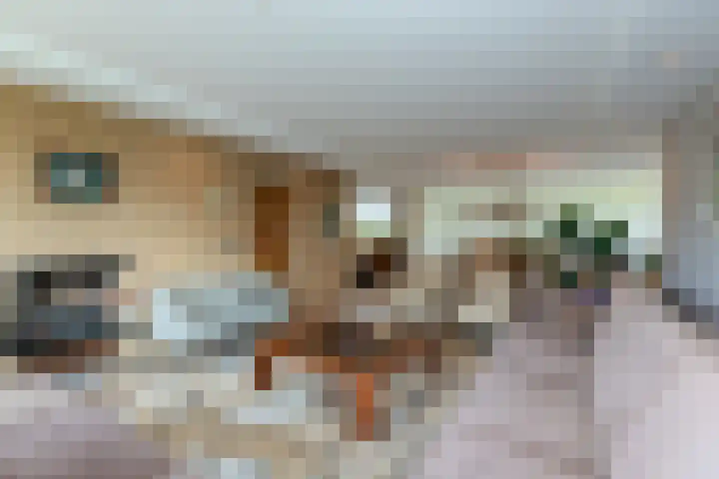 Weresteijn 15 Sliedrecht thumbnail 11