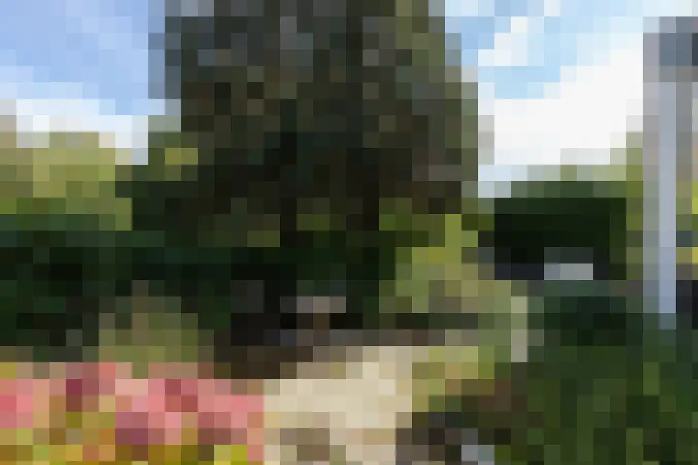 Weresteijn 15 Sliedrecht thumbnail 32
