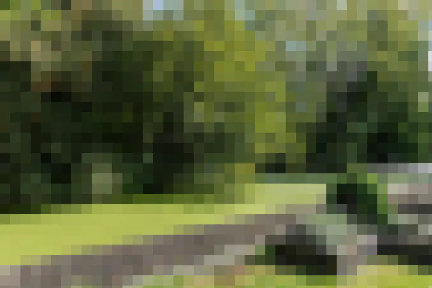 Weresteijn 15 Sliedrecht thumbnail 39