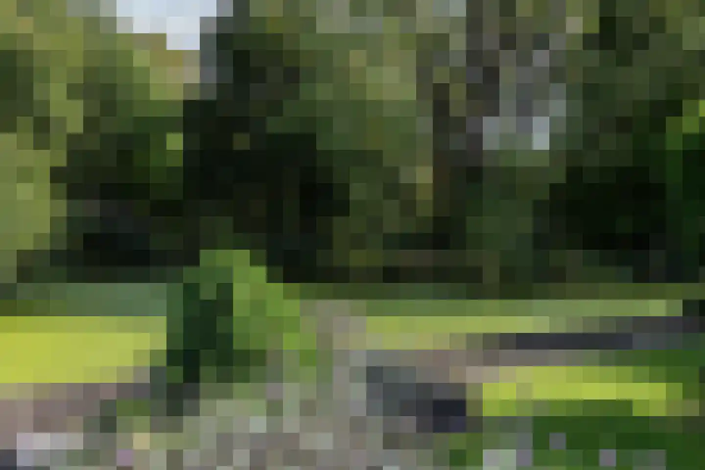 Weresteijn 15 Sliedrecht thumbnail 40