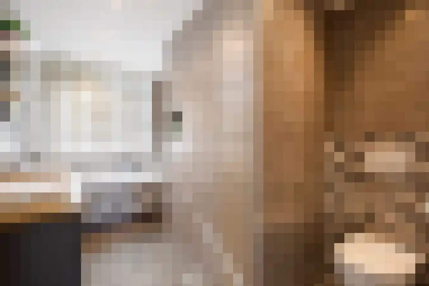 Weresteijn 34 Sliedrecht thumbnail 17