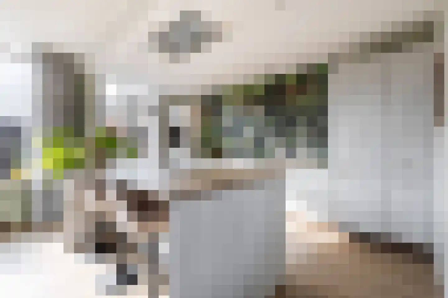 Weresteijn 34 Sliedrecht thumbnail 6
