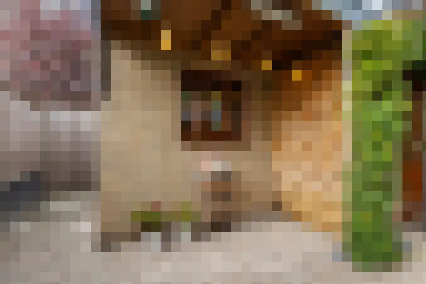 Weresteijn 52 Sliedrecht thumbnail 25