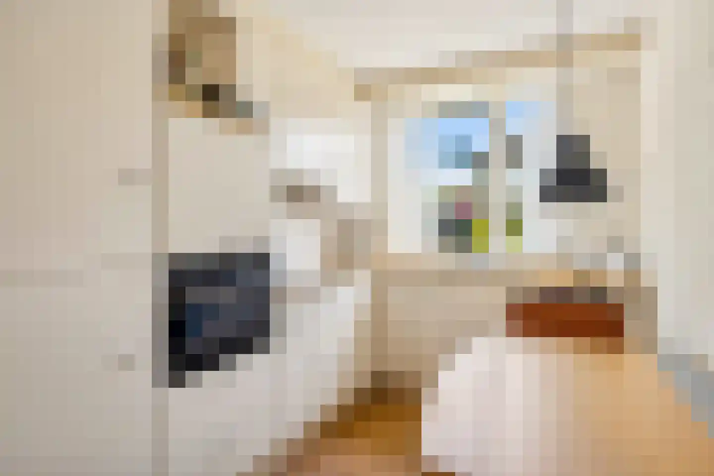 Werf 6 Eibergen thumbnail 17