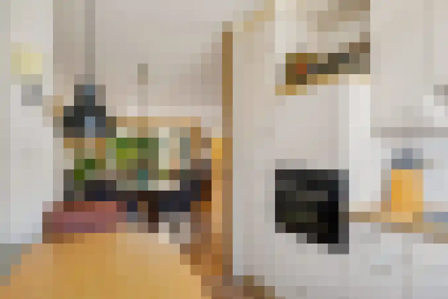 Werf 6 Eibergen thumbnail 18