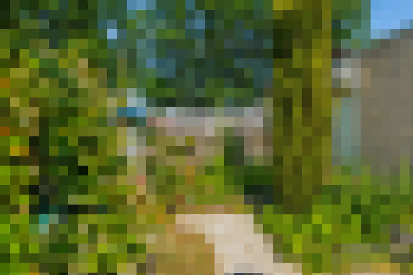 Werf 6 Eibergen thumbnail 44