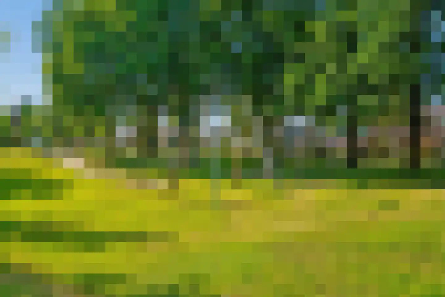 Werf 6 Eibergen thumbnail 48