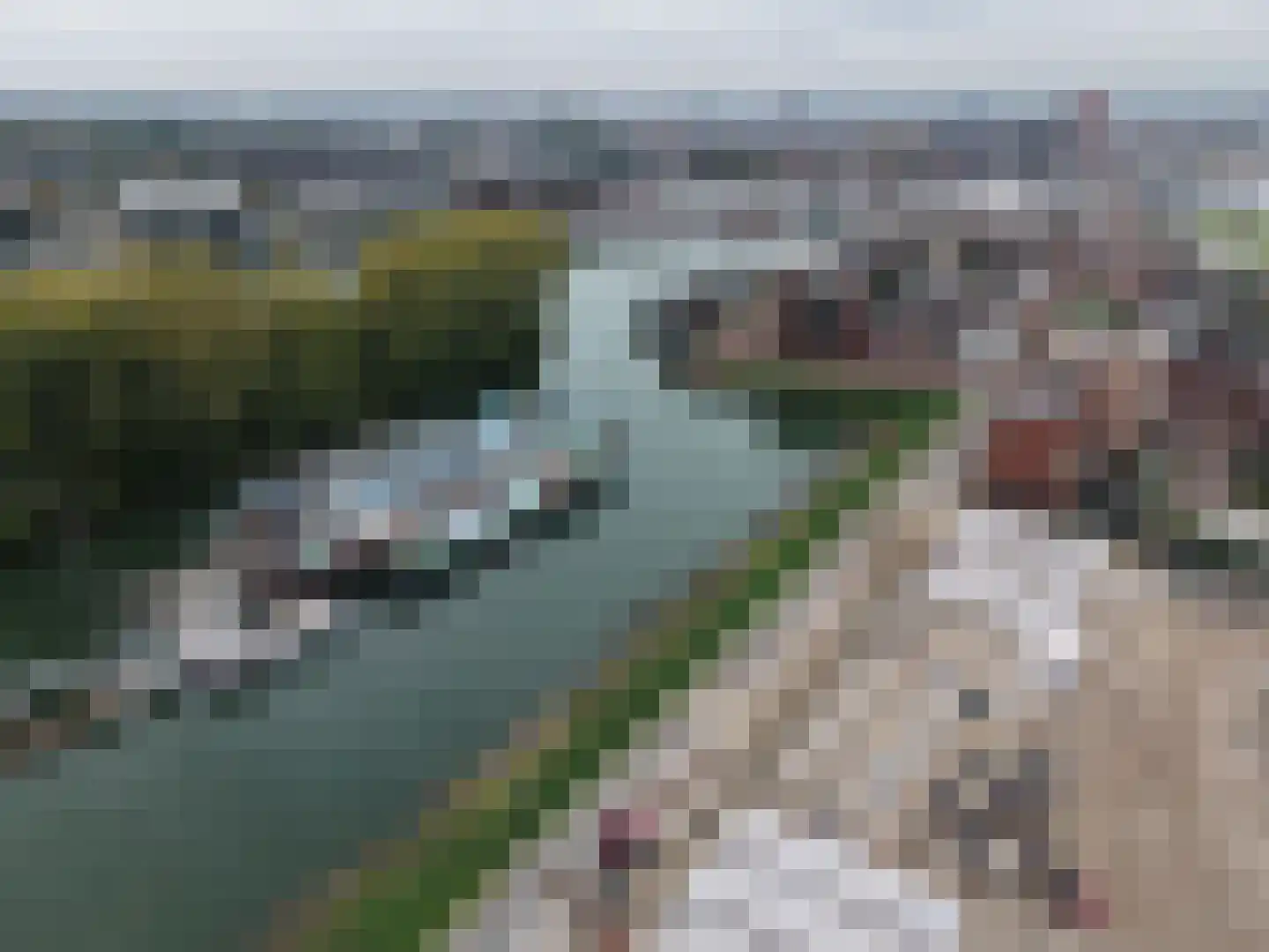 Werf van De Biesbosch 151 Dordrecht thumbnail 15