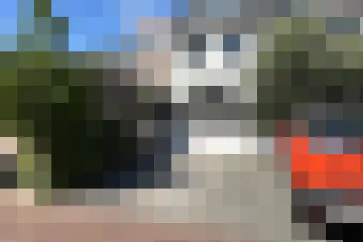 Werf van De Biesbosch 60 Dordrecht thumbnail 45
