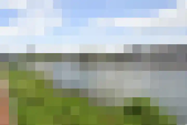 Werf van De Biesbosch 60 Dordrecht thumbnail 54