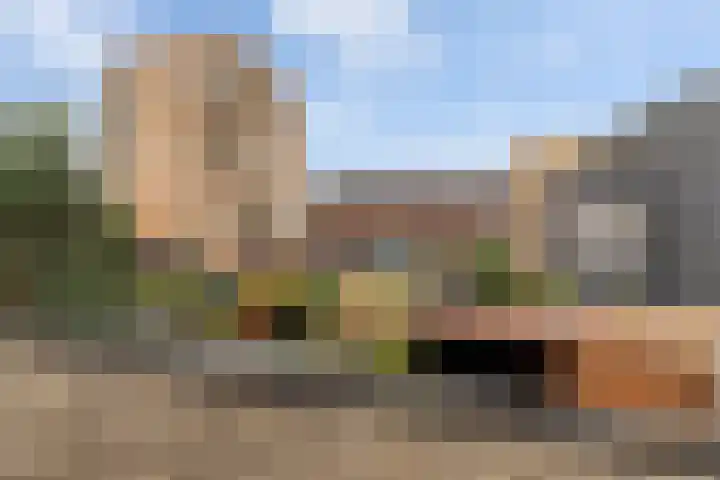Werf van De Biesbosch 71 Dordrecht thumbnail 26