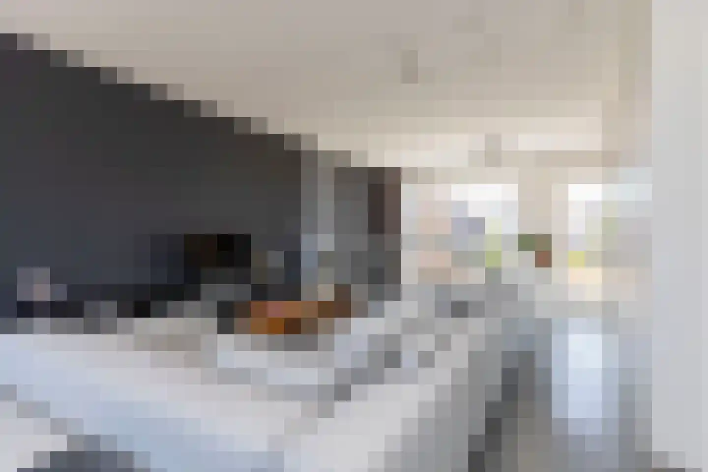 Werf van Gips 292 Dordrecht thumbnail 6