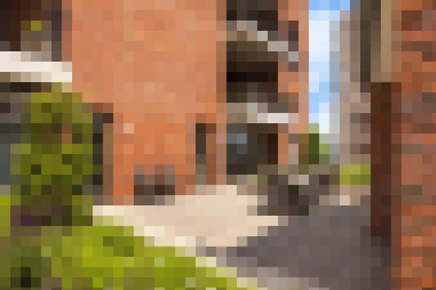 Werf van Gips 336 Dordrecht thumbnail 44