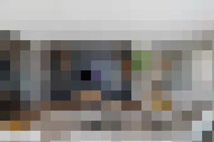 Werf van Gips 370 in Dordrecht