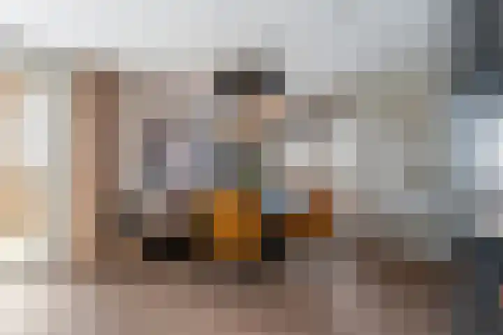Werf van Gips 370 Dordrecht thumbnail 26