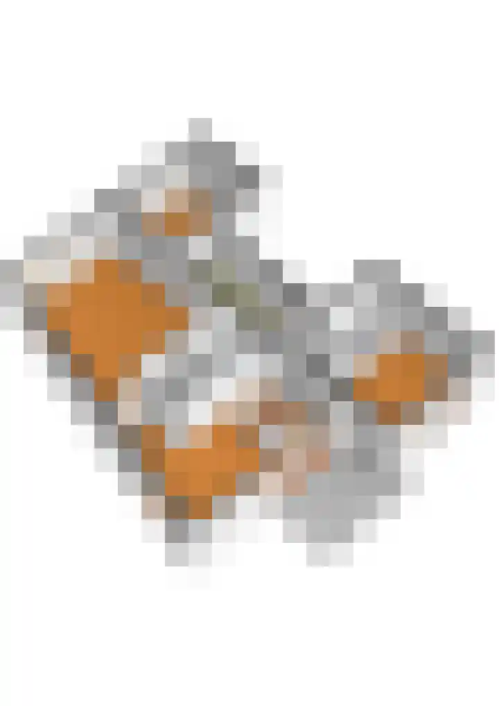 Werf van Gips 370 Dordrecht thumbnail 50