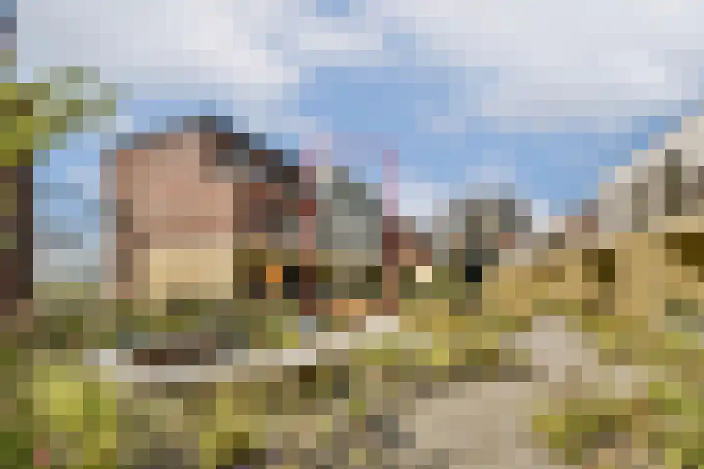 Werf van Gips 708 Dordrecht thumbnail 31