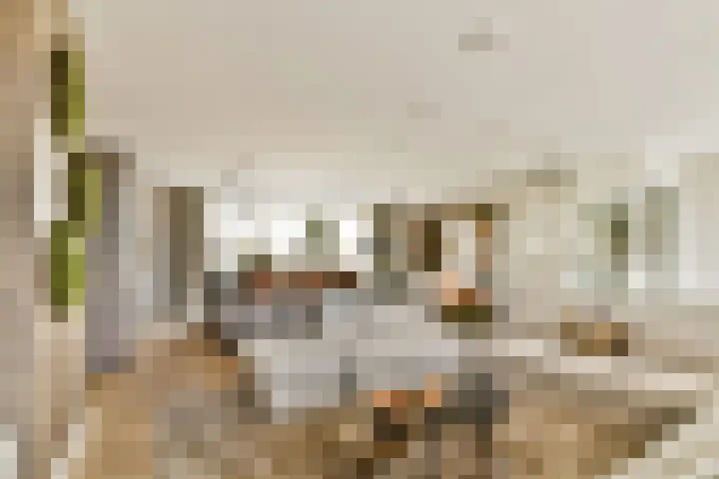 Werf van Gips 708 Dordrecht thumbnail 7