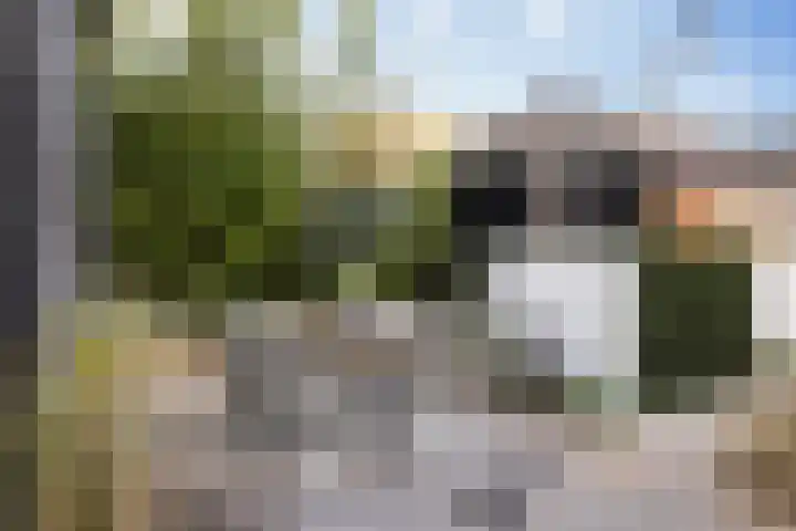 Werf van Montan 2 Dordrecht thumbnail 24